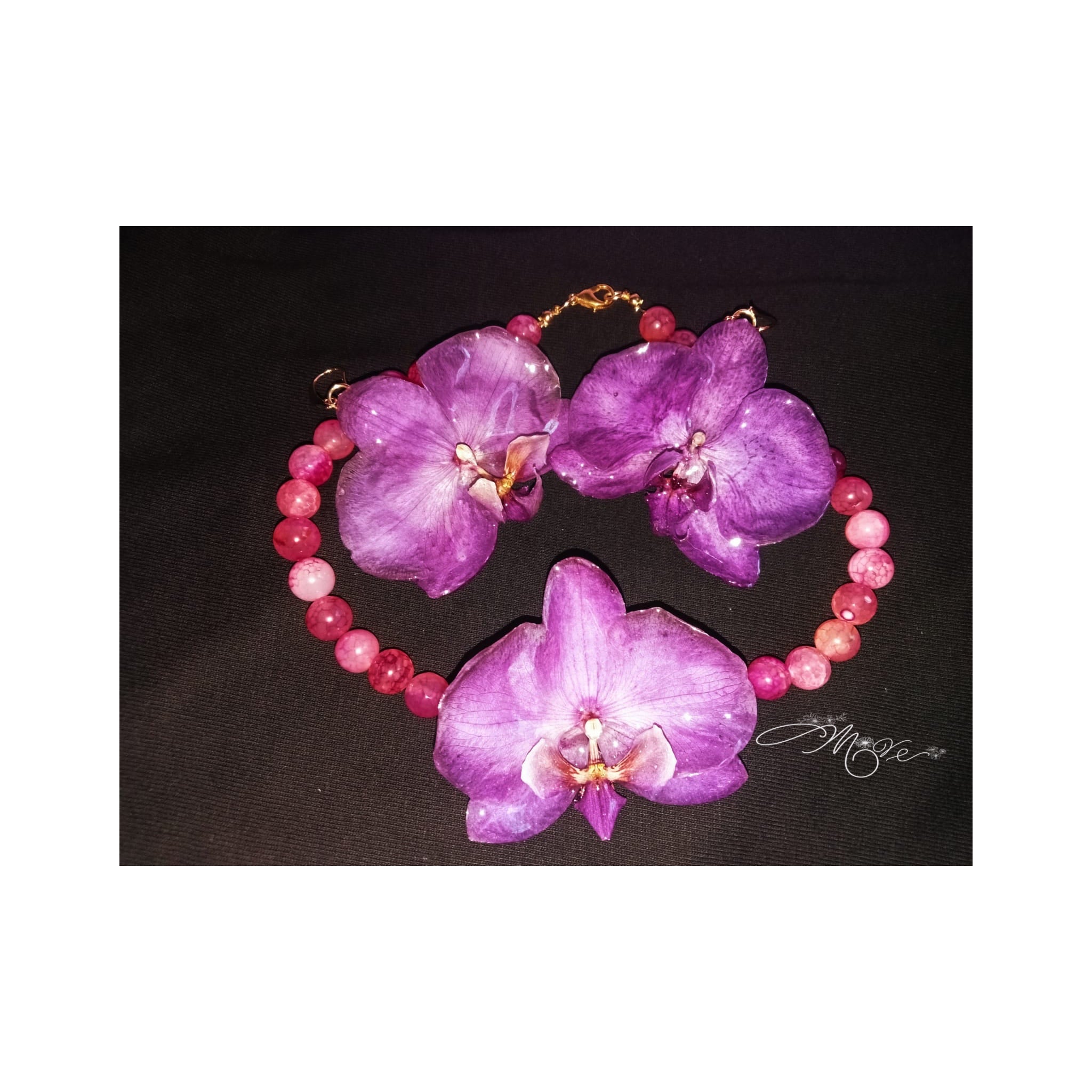 Set phalaenopsis