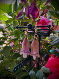 Jacarandas