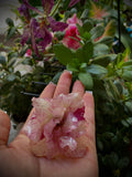 Anillo azalea