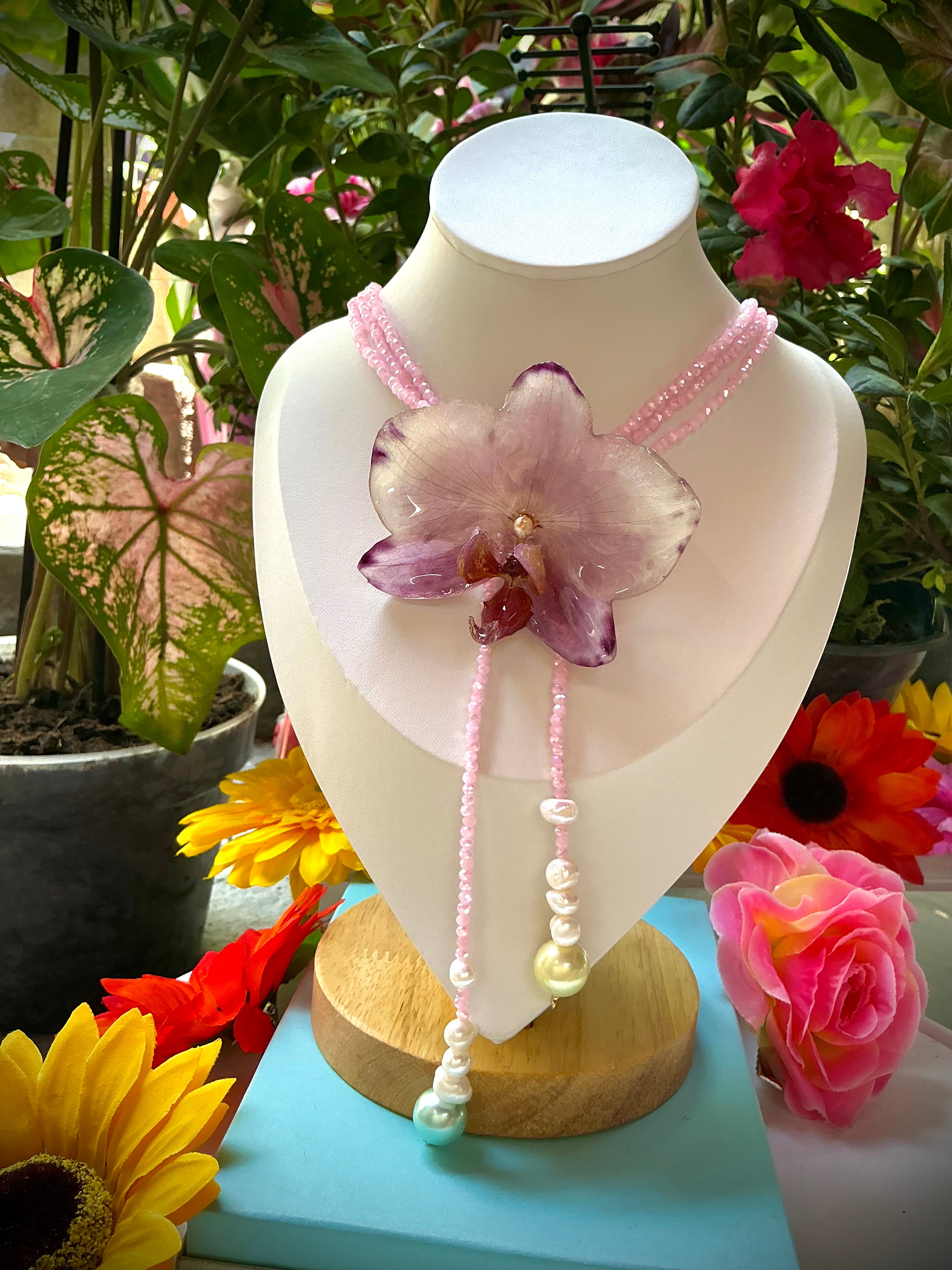 Collar phalaenopsis