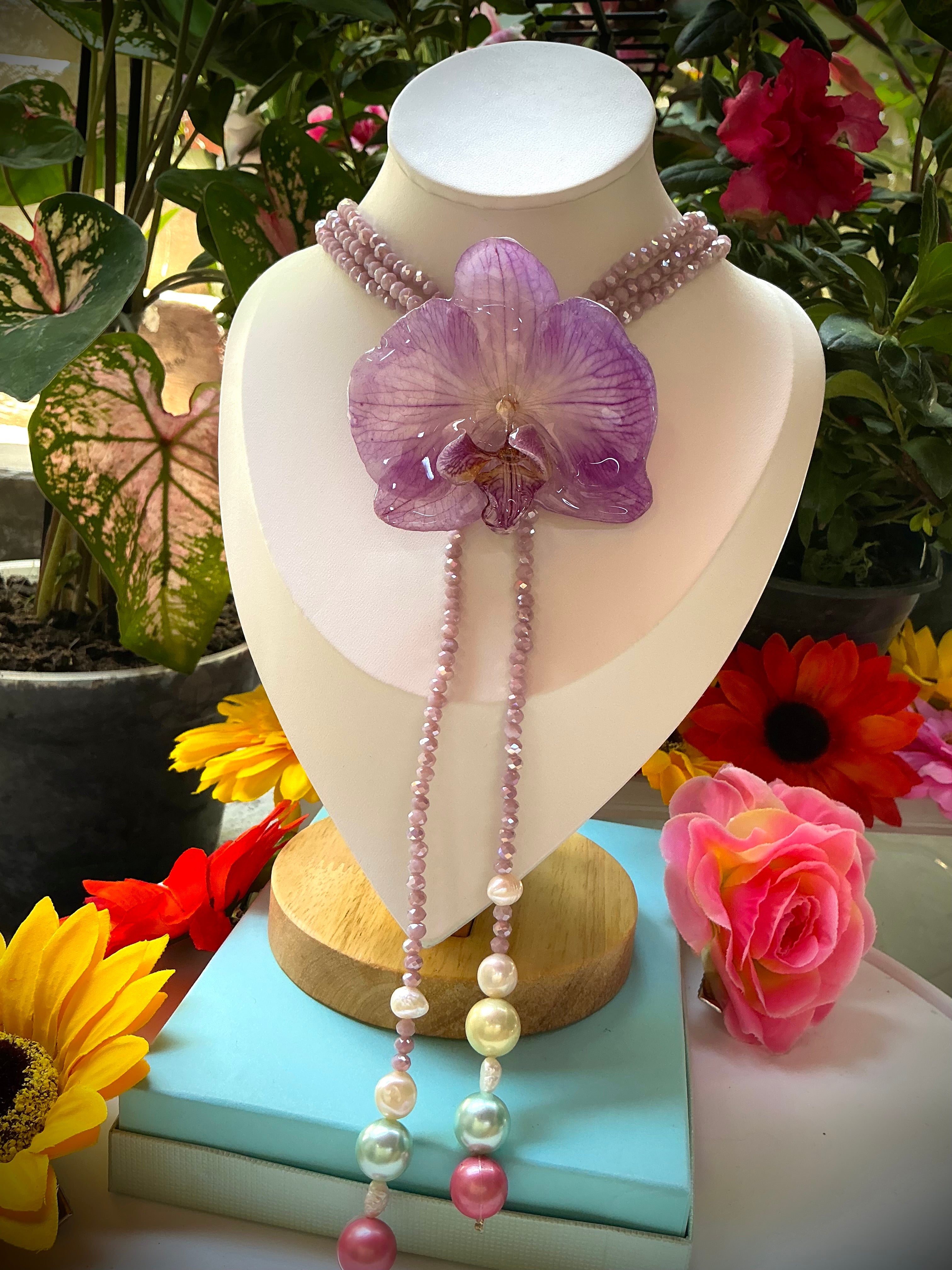Collar phalaenopsis