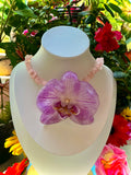 Collar phalaenopsis