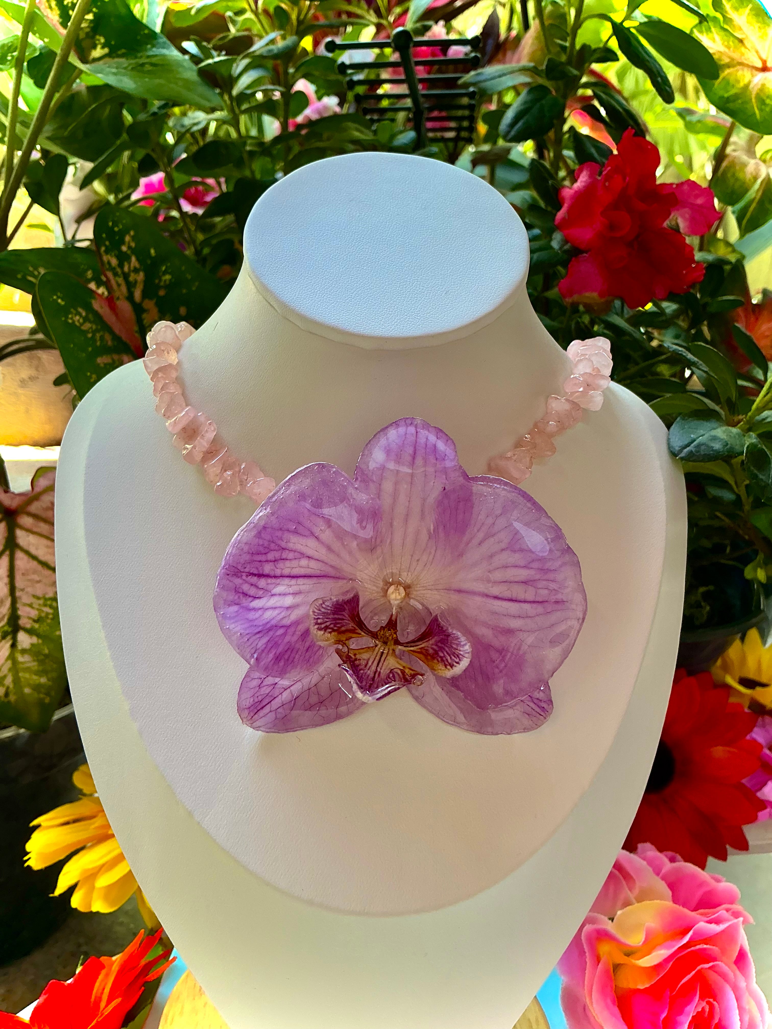 Collar phalaenopsis
