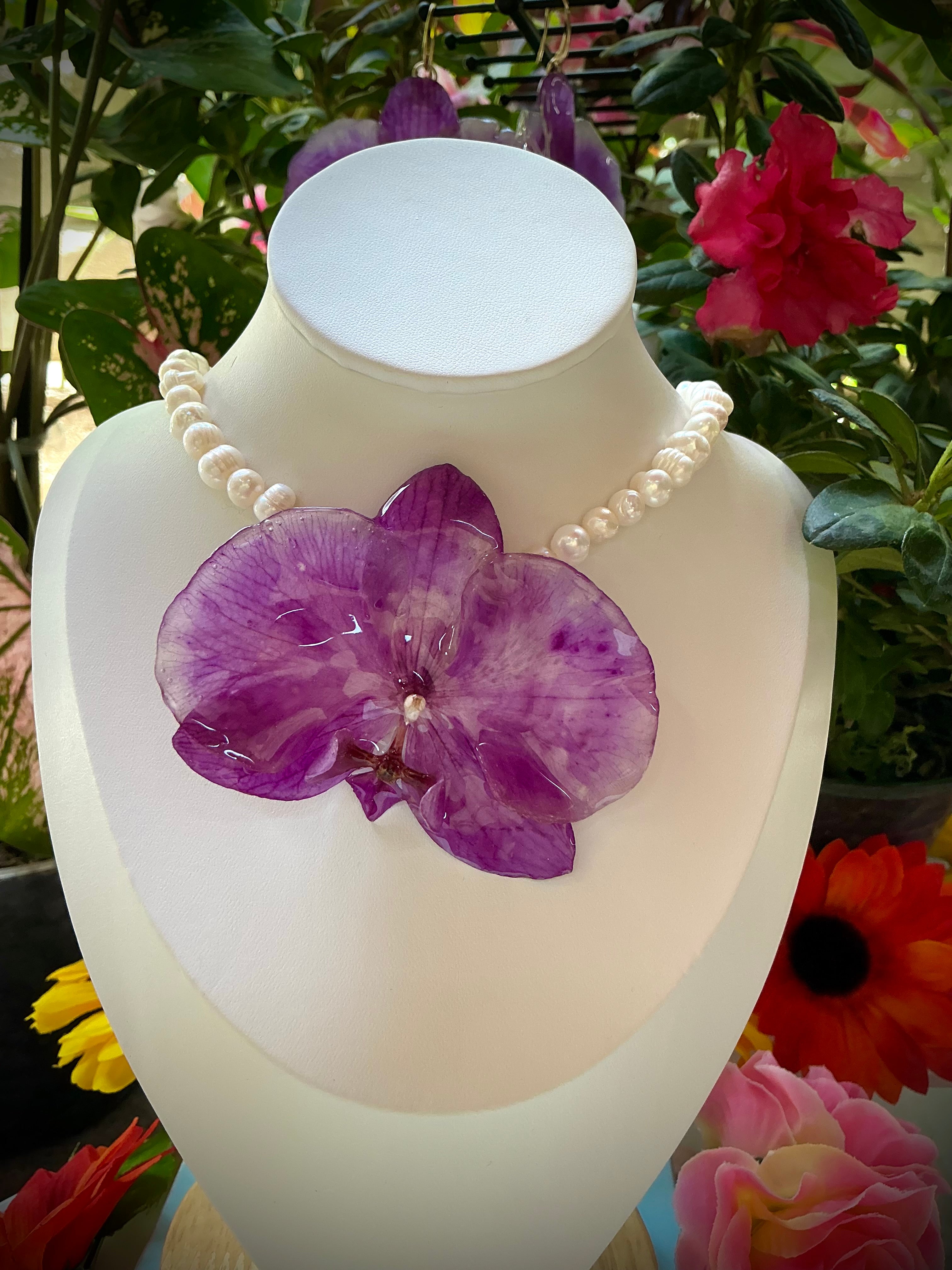 Set phalaenopsis