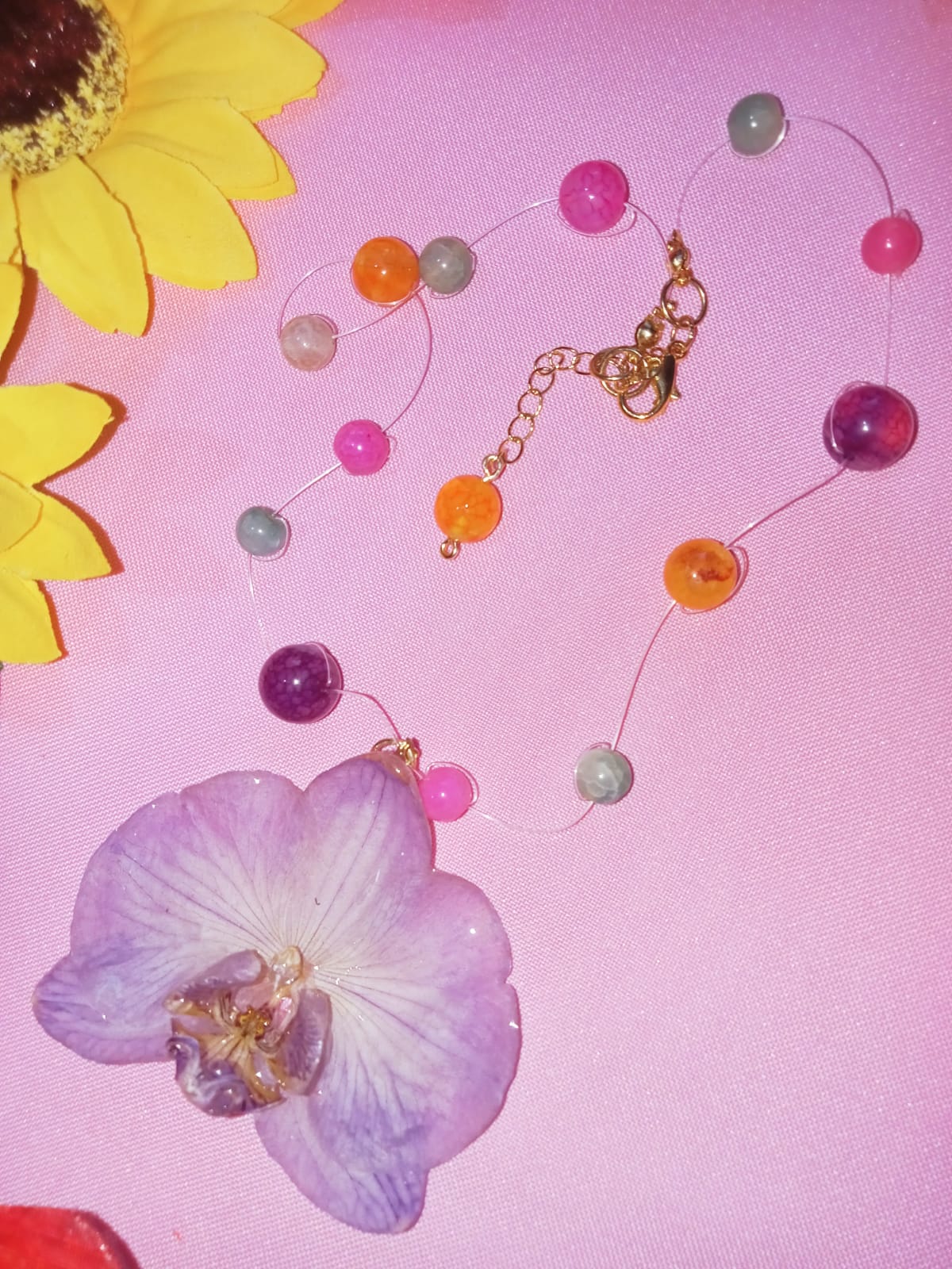 Collar phalaenopsis