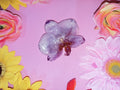 Broche