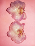 Aretes phalaenopsis