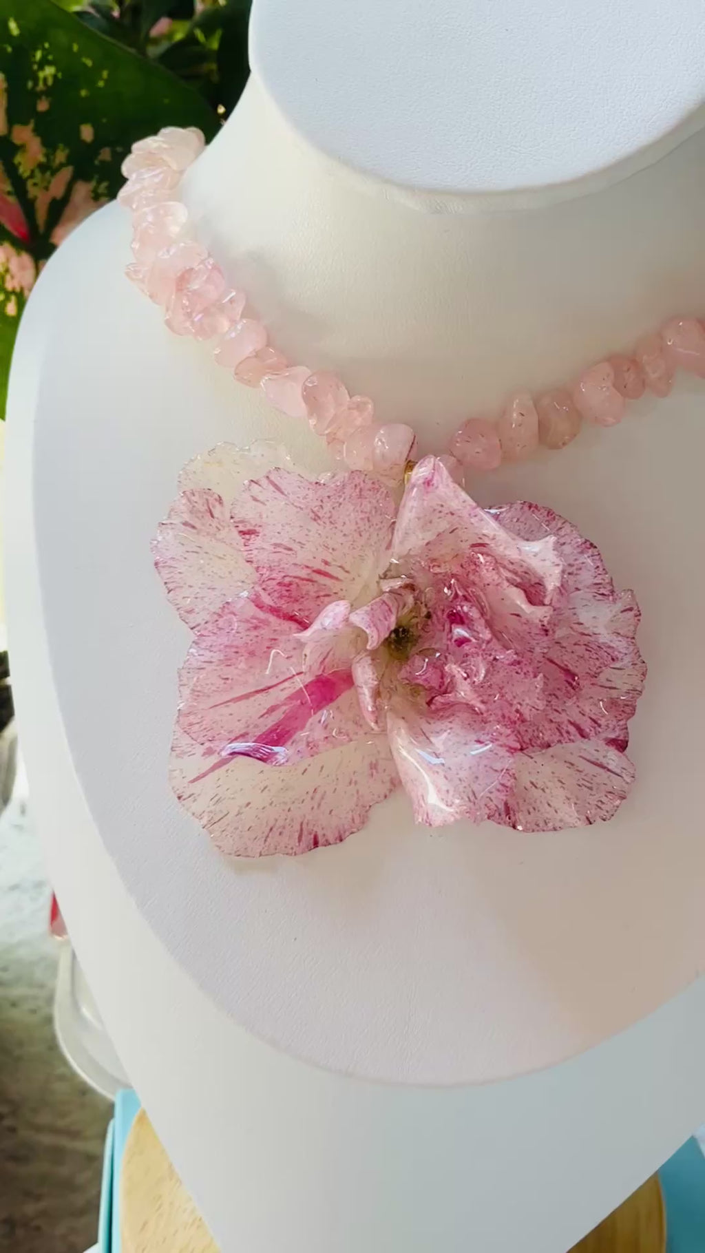 Set dulce primavera